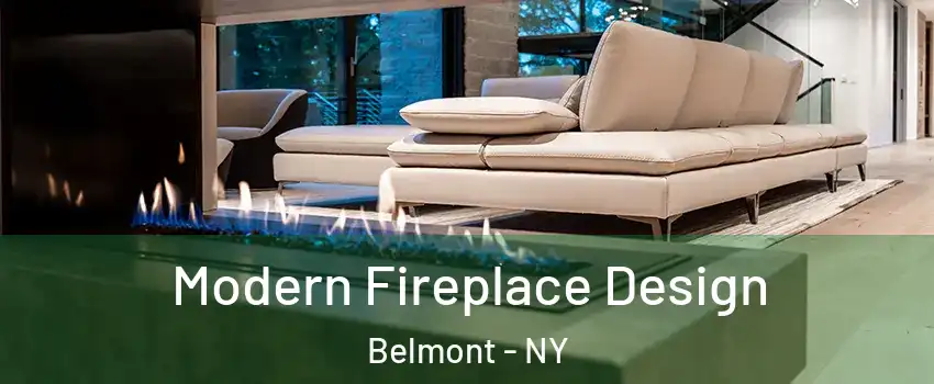 Modern Fireplace Design Belmont - NY