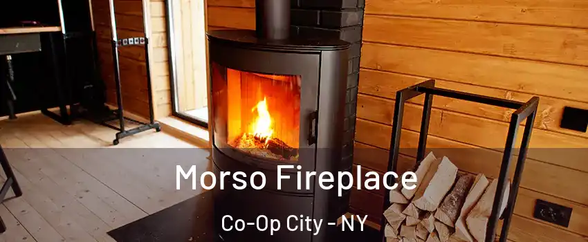 Morso Fireplace Co-Op City - NY