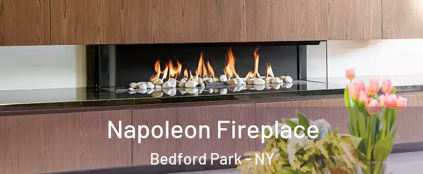 Napoleon Fireplace Bedford Park - NY