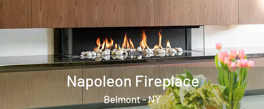 Napoleon Fireplace Belmont - NY