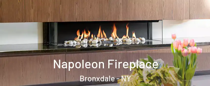 Napoleon Fireplace Bronxdale - NY