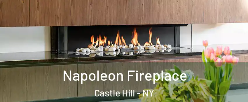 Napoleon Fireplace Castle Hill - NY