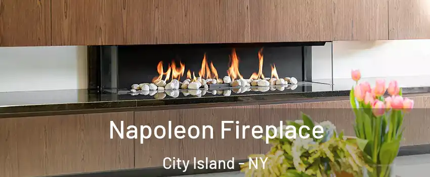 Napoleon Fireplace City Island - NY