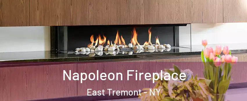 Napoleon Fireplace East Tremont - NY