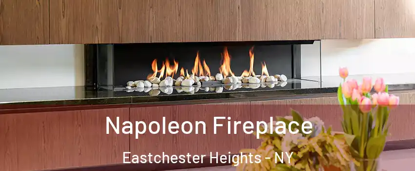 Napoleon Fireplace Eastchester Heights - NY