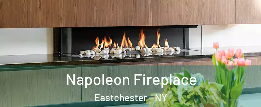 Napoleon Fireplace Eastchester - NY