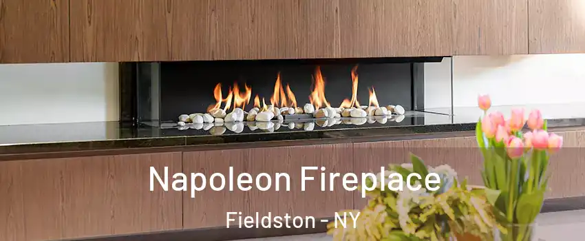 Napoleon Fireplace Fieldston - NY