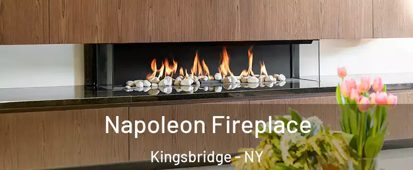 Napoleon Fireplace Kingsbridge - NY