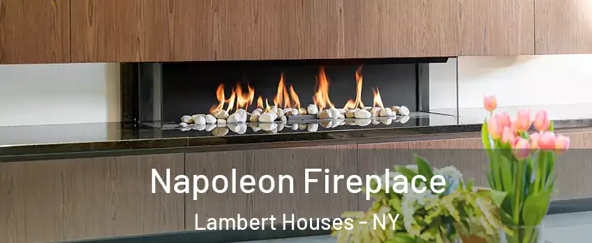 Napoleon Fireplace Lambert Houses - NY