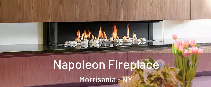 Napoleon Fireplace Morrisania - NY