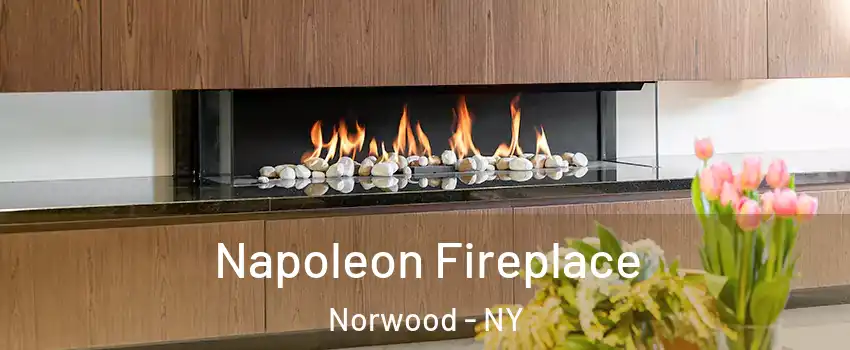 Napoleon Fireplace Norwood - NY