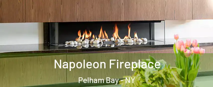 Napoleon Fireplace Pelham Bay - NY