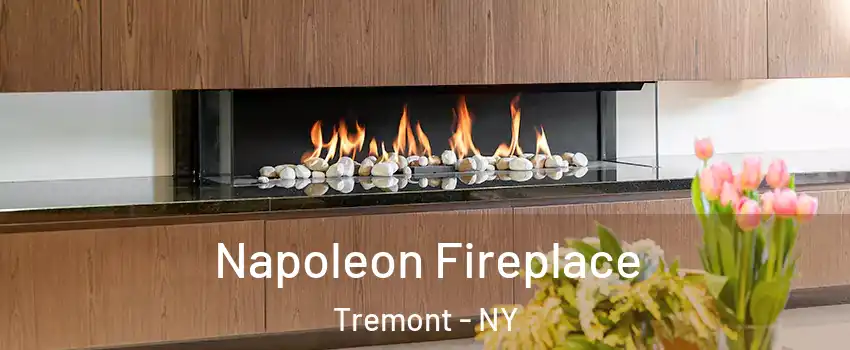 Napoleon Fireplace Tremont - NY