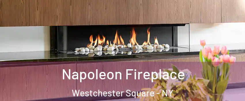 Napoleon Fireplace Westchester Square - NY