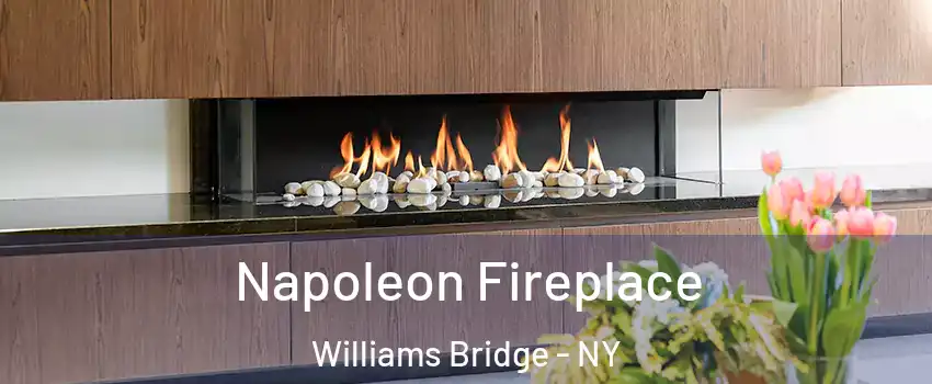 Napoleon Fireplace Williams Bridge - NY