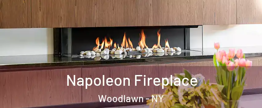 Napoleon Fireplace Woodlawn - NY