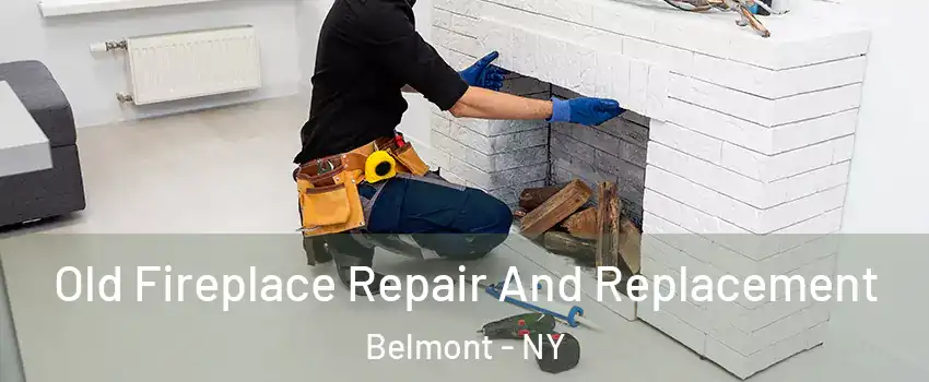 Old Fireplace Repair And Replacement Belmont - NY