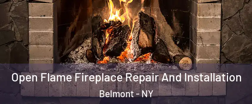 Open Flame Fireplace Repair And Installation Belmont - NY