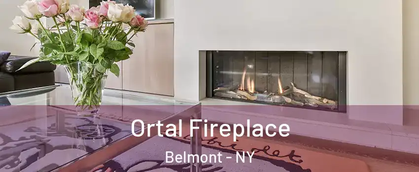 Ortal Fireplace Belmont - NY