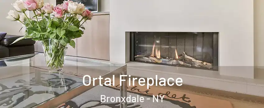 Ortal Fireplace Bronxdale - NY