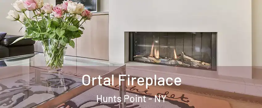 Ortal Fireplace Hunts Point - NY