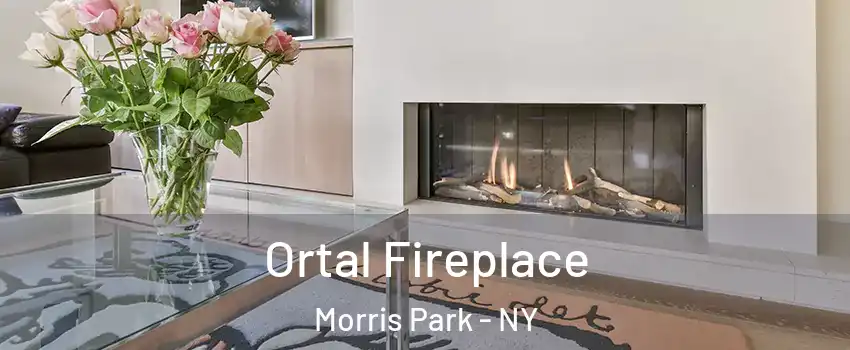 Ortal Fireplace Morris Park - NY