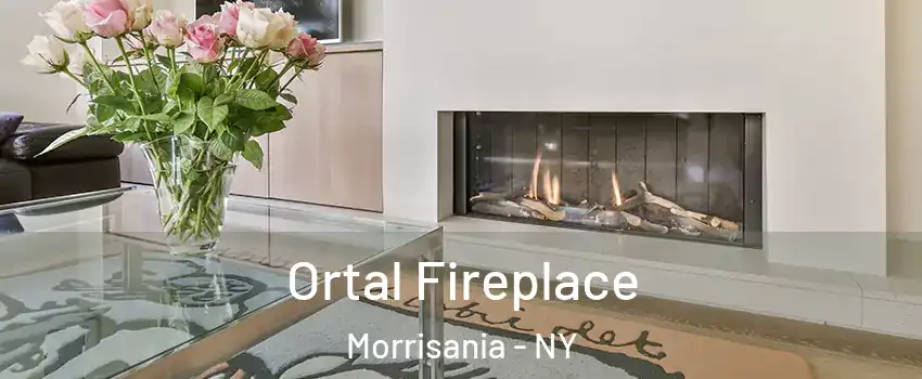 Ortal Fireplace Morrisania - NY