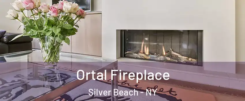 Ortal Fireplace Silver Beach - NY