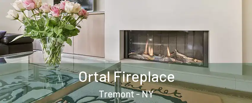 Ortal Fireplace Tremont - NY