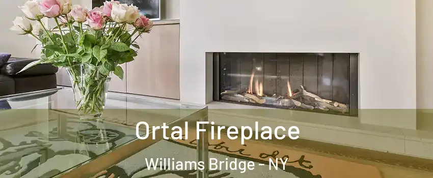 Ortal Fireplace Williams Bridge - NY