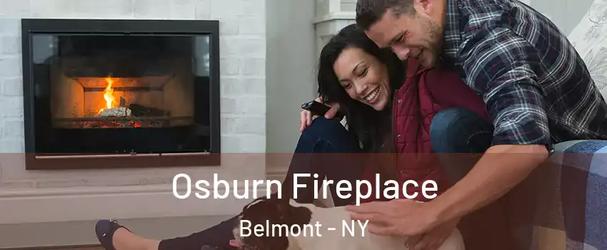 Osburn Fireplace Belmont - NY