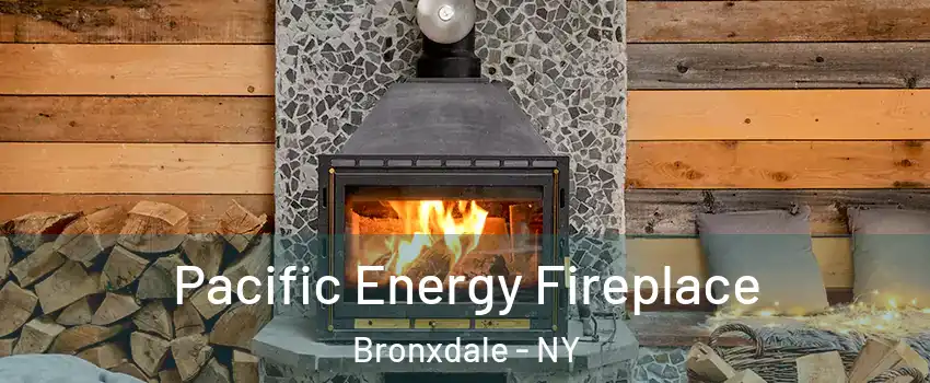 Pacific Energy Fireplace Bronxdale - NY