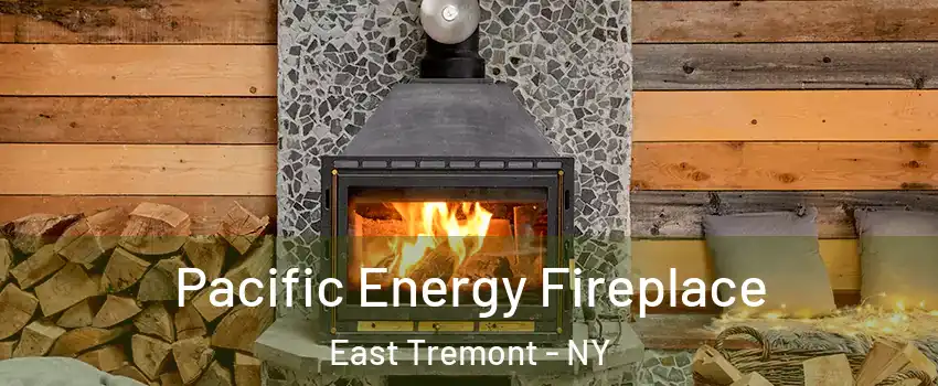 Pacific Energy Fireplace East Tremont - NY