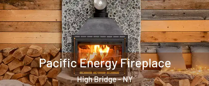 Pacific Energy Fireplace High Bridge - NY