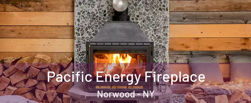 Pacific Energy Fireplace Norwood - NY