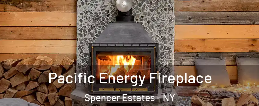 Pacific Energy Fireplace Spencer Estates - NY