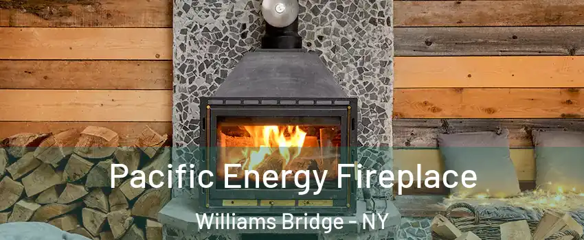 Pacific Energy Fireplace Williams Bridge - NY