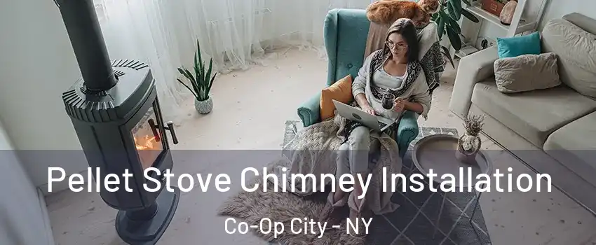 Pellet Stove Chimney Installation Co-Op City - NY