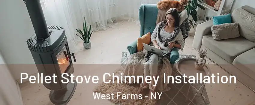 Pellet Stove Chimney Installation West Farms - NY