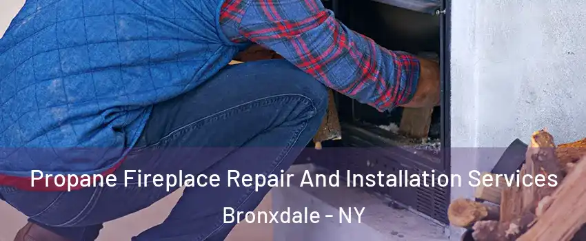 Propane Fireplace Repair And Installation Services Bronxdale - NY