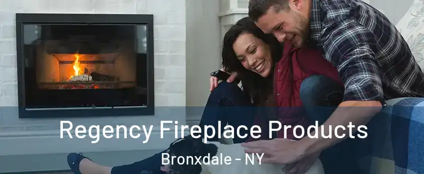 Regency Fireplace Products Bronxdale - NY