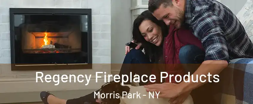 Regency Fireplace Products Morris Park - NY