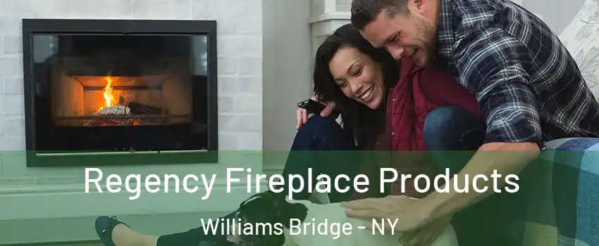 Regency Fireplace Products Williams Bridge - NY