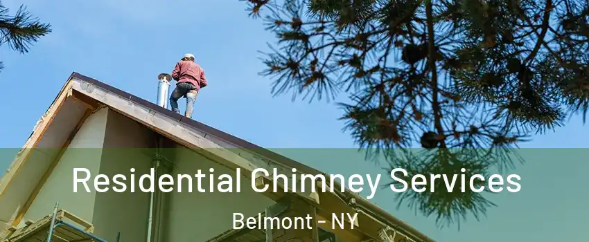 Residential Chimney Services Belmont - NY