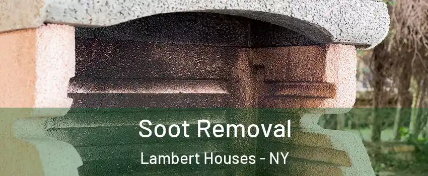 Soot Removal Lambert Houses - NY