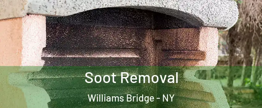 Soot Removal Williams Bridge - NY