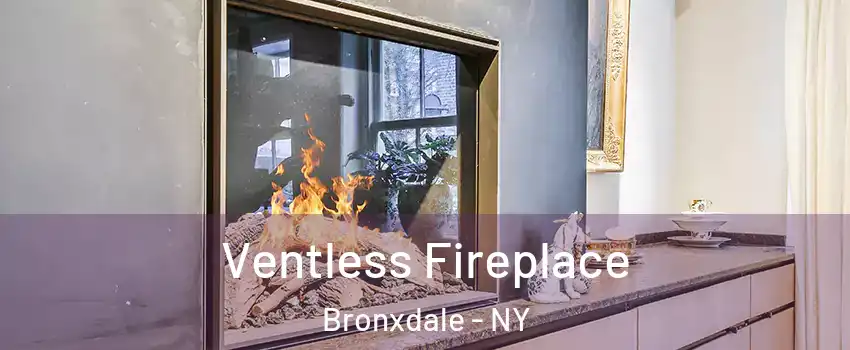 Ventless Fireplace Bronxdale - NY