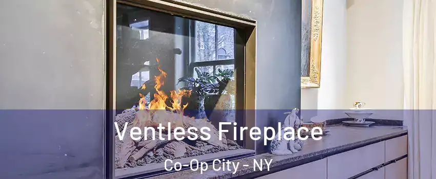 Ventless Fireplace Co-Op City - NY