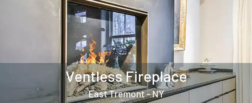 Ventless Fireplace East Tremont - NY