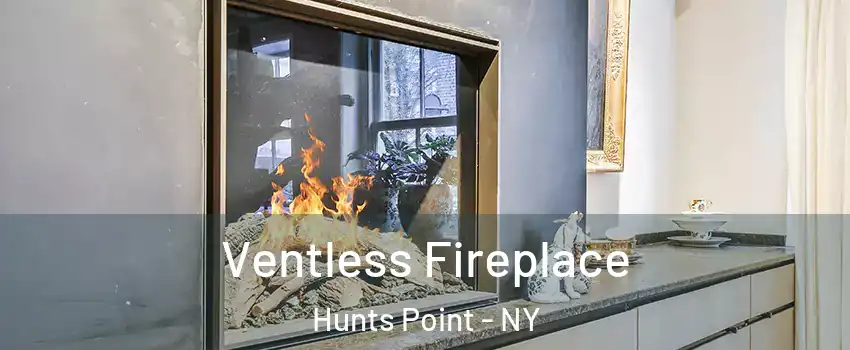 Ventless Fireplace Hunts Point - NY